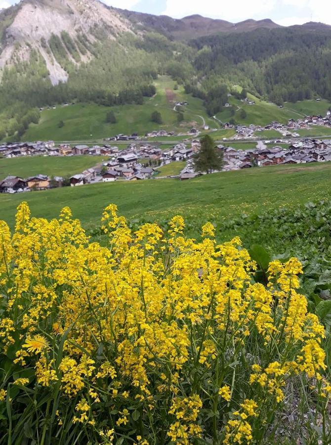 Chalet Da Florin Livigno Kültér fotó